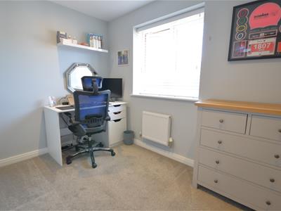 Picture 13